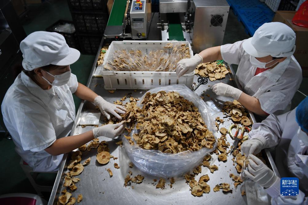 明升网址现金